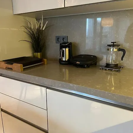 Cozy Luxury In Sinpas Queen Istambul